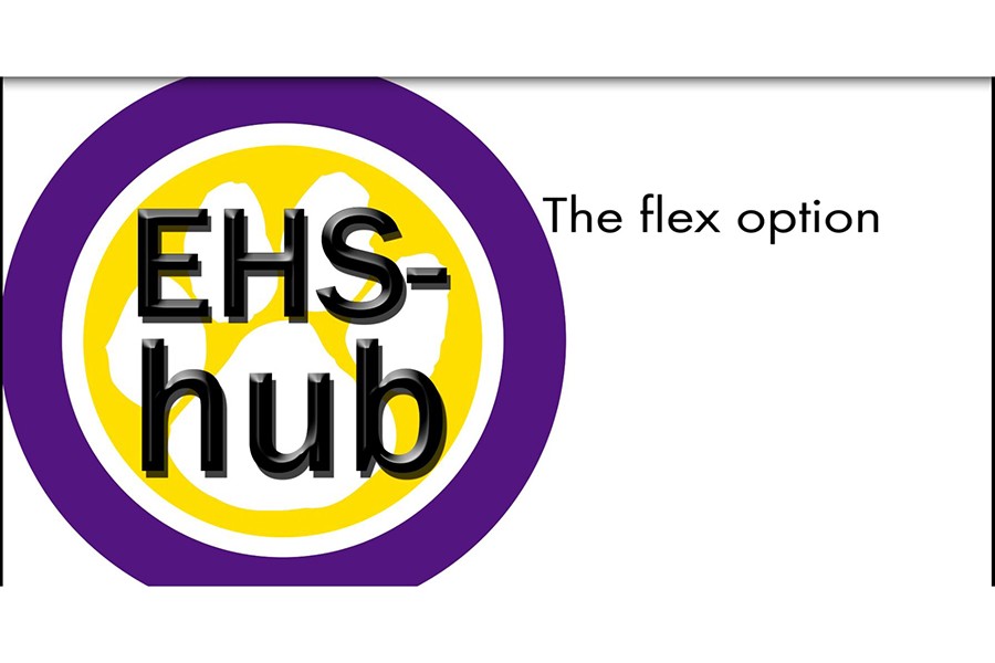 The flex option HUB