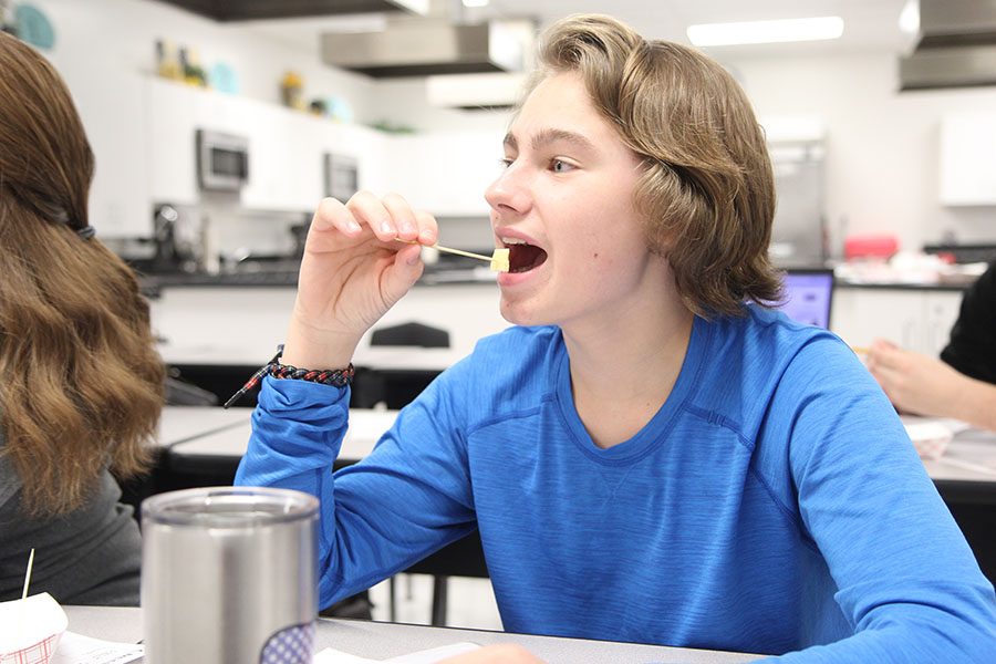 In his favorite part of Foods and Nutrition, Ethan Larson (9) taste tests cheese for the dairy unit in Mrs. Debbie Powell’s Foods and Nutrition 2 fifth hour class, Nov. 3. “We have to learn about a lot of stuff about foods. I wish we could cook more,” Larson said. “Instead of learning about foods, we should actually cook more.”
