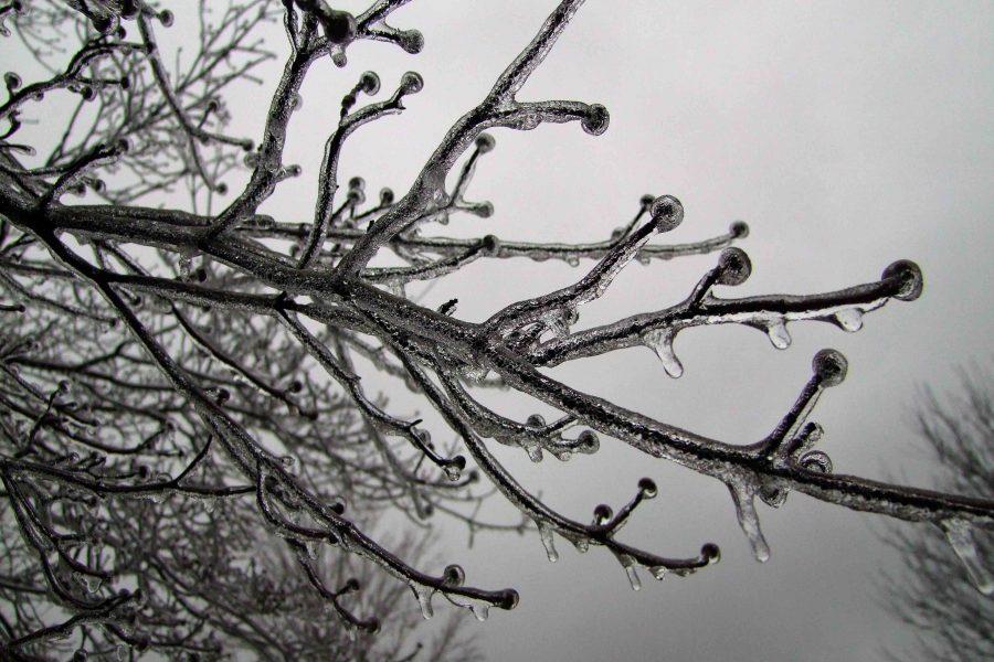 Winter Storm, Jupiter brought below freezing temperatures and ice to the state of Missouri on Saturday, Jan. 14.