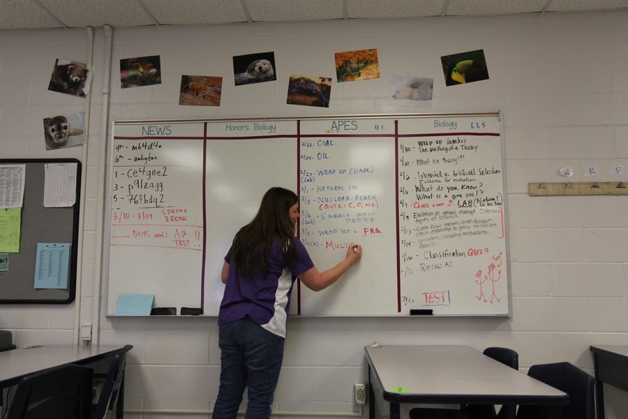 A photo illustration of Mrs. Kotraba writing on her board  in class.