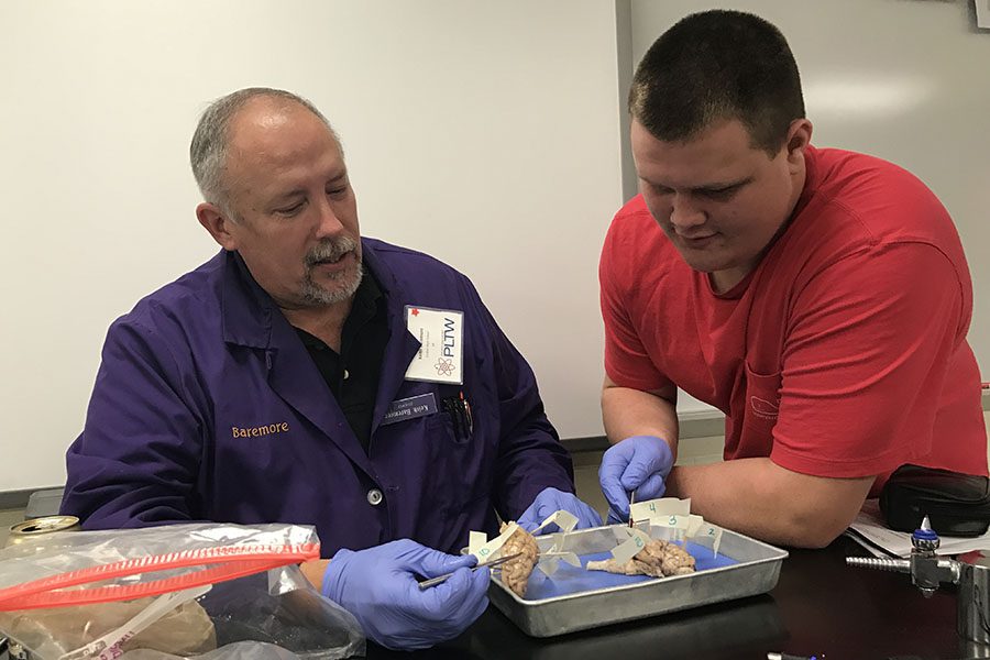 Keith Baremore, Science, and Bennett Lyday (11) get their hands dirty while examining the parts of the brain.