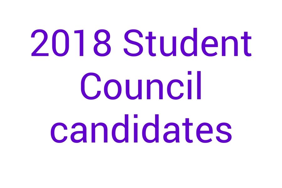 2018 Student Council candidates