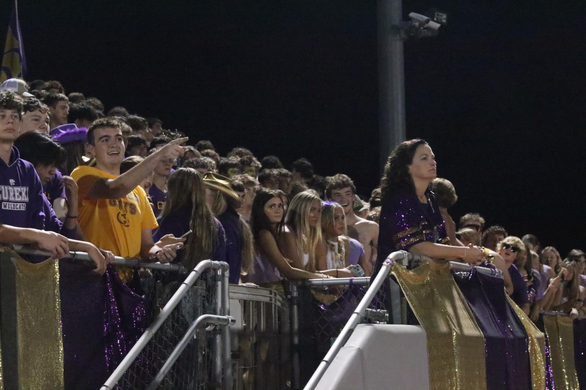 Friedmann watches the game from the Catpound.